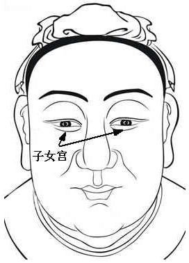 面相算命圖解：面相十二宮圖之子女宮