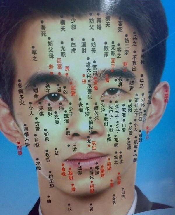 痣的位置與命運圖-男人臉上長痣的位置與命運圖解