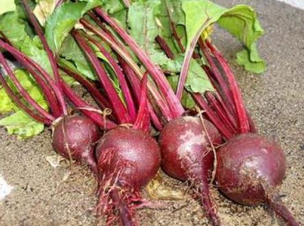 孕婦可以吃甜菜嗎？孕婦吃甜菜有什么好處