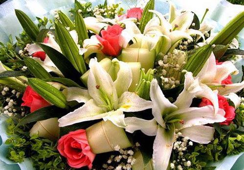 送花的學問與技巧大全:什么場合送什么花好