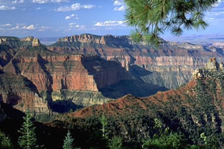 世界上最長(zhǎng)的裂谷帶是什么？東非大裂谷的形成原因