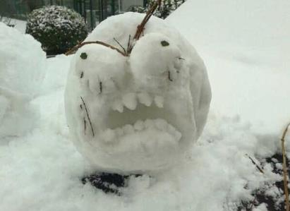 奇葩是什么意思?網(wǎng)絡(luò)用語奇葩男女是什么意思