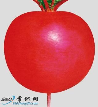 東北雌性紅蘿卜