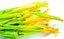 孕婦能吃黃花菜嗎？魚腥草對孕婦好嗎？