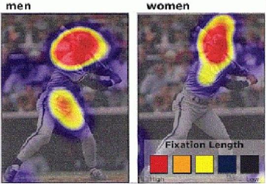 看棒球比賽，男人看棒球運動員的臉和身體，而女人只看臉。