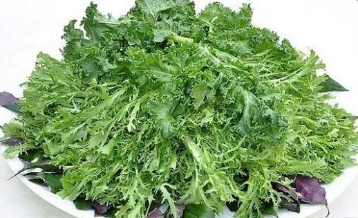 野菜可以吃嗎？孕婦吃野菜有什么好處？