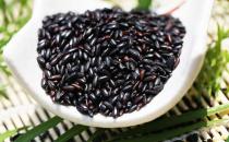 吃什么補腎？五種補腎壯陽的食物助你補腎養(yǎng)腎