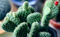 腱鞘炎是什么？ 引起腱鞘炎的原因有哪些？