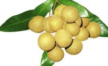 坐月子有哪些常見誤區？