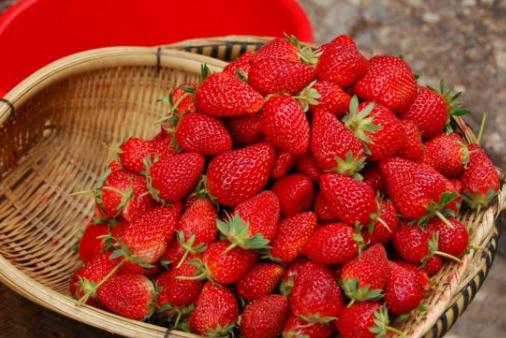 廚房里的這些美容食物你都了解嗎?