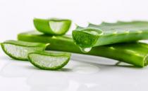 蘆薈的美容功效：蘆薈如何美容？