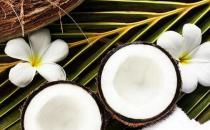 如何護發？迷迭香精油防掉發