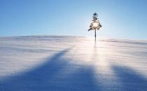 冬季怎么暖胃？紅棗蔥白湯的做法