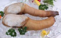 象拔蚌熱銷中國 象拔蚌的營養價值