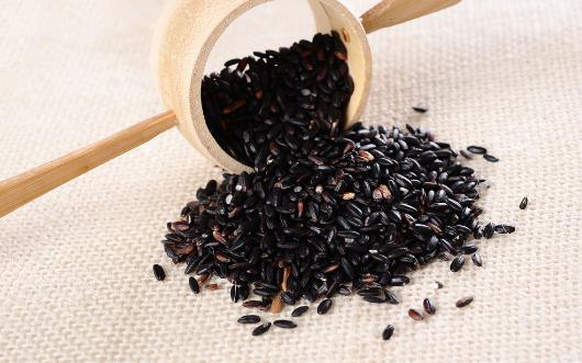 秋季吃什么食物能美容？最養顏的是薏米