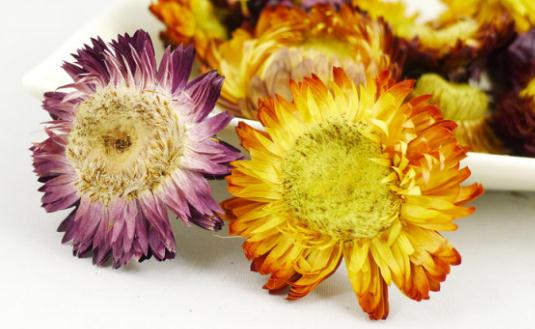 菊花美容養顏-菊花怎么吃最好？