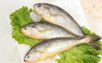 吃黃花魚有哪些好處？