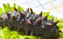 海參的選購和泡發的方法