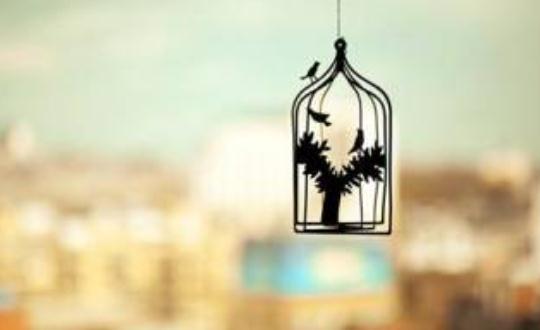 夫妻之間撒謊對婚姻破壞性極大！