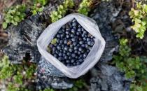 使用衛生棉條會引起婦科疾病？