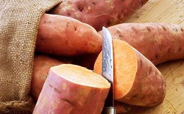 紅薯_營養(yǎng)價(jià)值,功效與作用,營養(yǎng)成分,選購,食用方法,儲存,做法大全 紅薯_營養(yǎng)價(jià)值,功效與作用,營養(yǎng)成分,選購,食用方法,儲存,做法大全