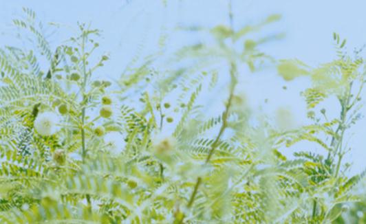 如何表達你的愛？給予不要保留