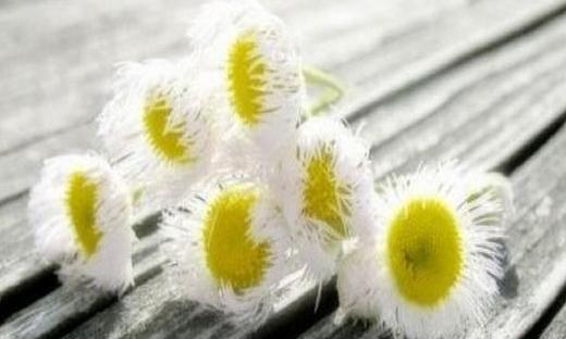 閨蜜失戀了該怎么辦?請(qǐng)你陪我去瘋狂