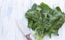 女性養生多補鐵