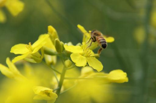 異性閨蜜有什么好處？為什么需要異性閨蜜？