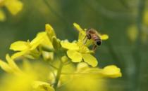 異性閨蜜有什么好處？為什么需要異性閨蜜？