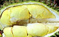 “怪味”食物保衛女性健康