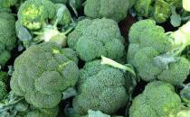 眼睛需要補(bǔ)充哪些營(yíng)養(yǎng)素？吃什么對(duì)眼睛好？