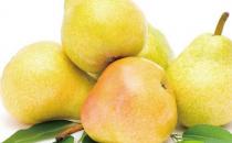 男人秋季養肺必吃的7種食物