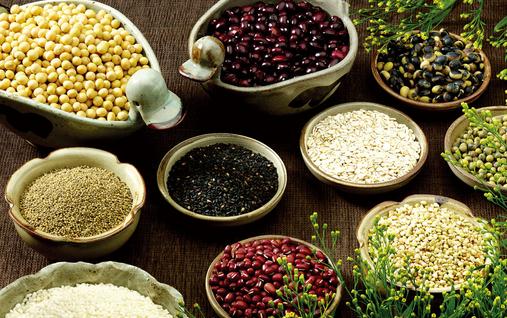 冬季去火吃什么好？冬季養生飲食推薦