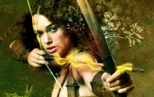 射箭的動作要領-射箭的規則