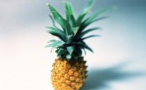 鳳梨花的介紹-鳳梨對家居環境的影響