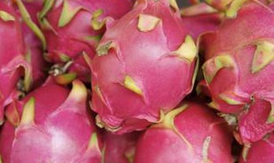 可以促進(jìn)消化的食物 讓你快速瘦起來