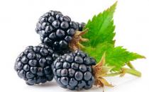 桑葚的作用與功效 桑葚的營養價值有哪些