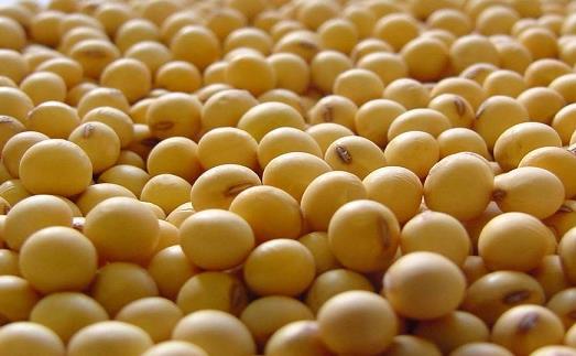 女人吃什么少得??？女性健康飲食方案推薦