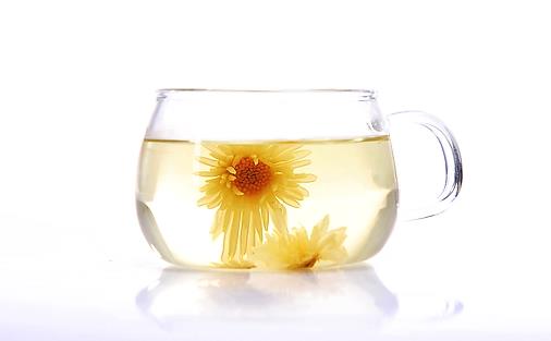 菊花也能治病 盤點菊花的養生功效