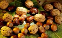 養(yǎng)生三寶推薦：核桃、栗子和榛子