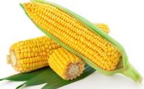 青少年記憶力很重要 增強記憶力吃什么好？