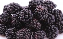 補血的蔬菜和水果有哪些？