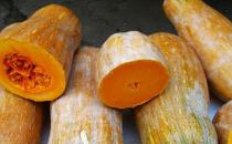 大寒節氣來臨 冬天吃什么可以御寒？