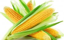 調節內分泌失調的7類食物推薦