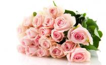 情人節(jié)送什么花？情人節(jié)送花指南