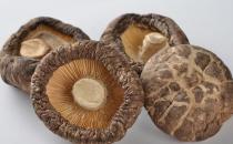 最全的美容養顏食品排行榜