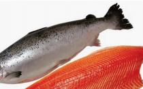 教你吃出一頭飄逸秀發