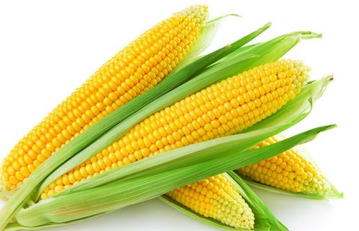 防止掉發厲害的方法 食療絕對靠譜