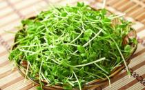 告別大餅臉常吃這幾種食物